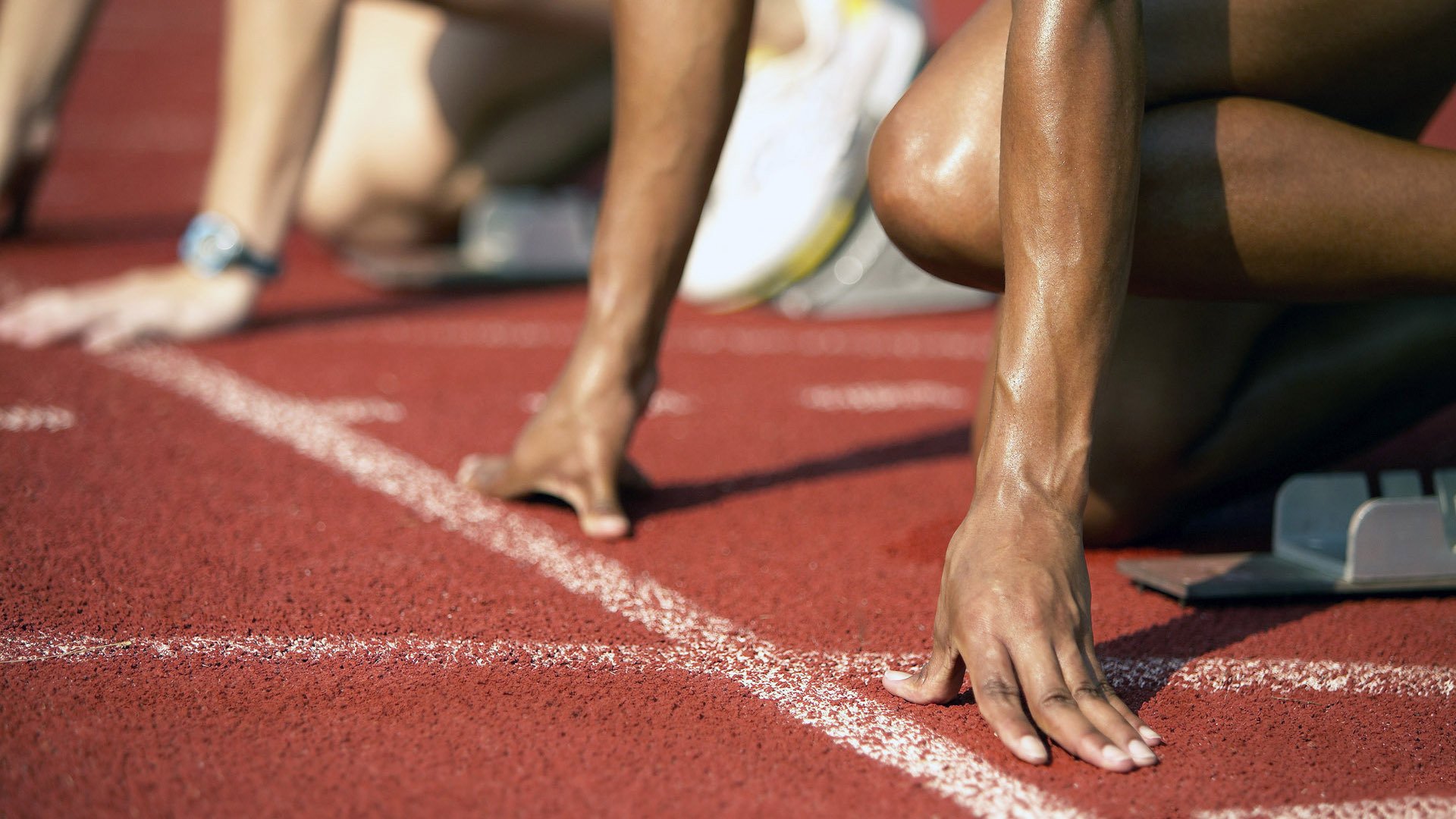 世界越野跑锦标赛，荒野中的速度较量，世界越野锦标赛冠军